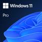 Microsoft Windows 11 Pro OEM 1 license(s)