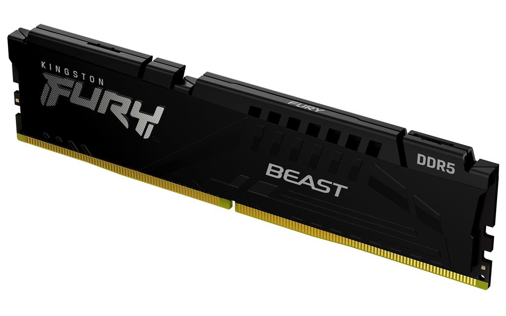 Kingston Technology FURY Beast memory module 8 GB 1 x 8 GB DDR5 5600 MHz